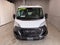2025 RAM ProMaster 2500 Cargo Van Tradesman Low Roof 136' WB w/Pass Seat