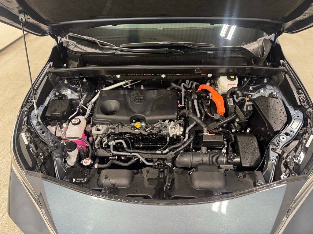 2024 Toyota Venza LE